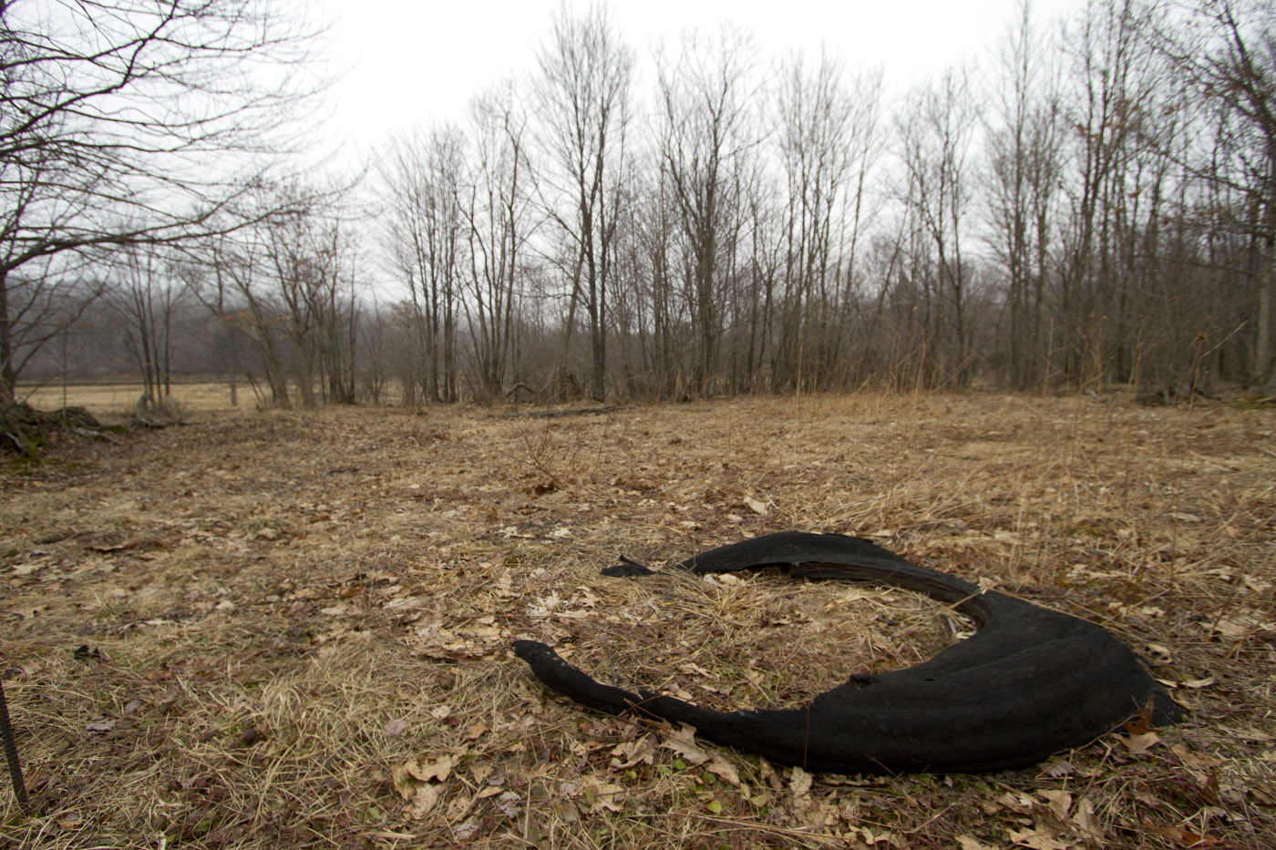 Buzz One Four crash site + debris.